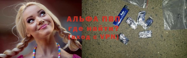 дурь Верея
