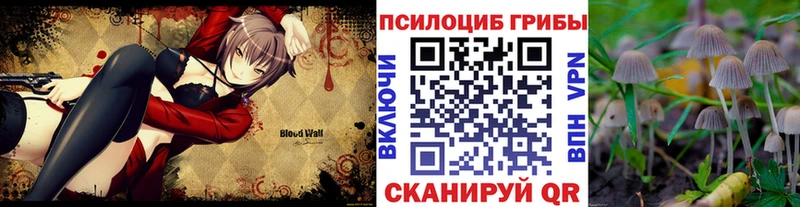 Псилоцибиновые грибы Cubensis  Купить закладки  Котовск 